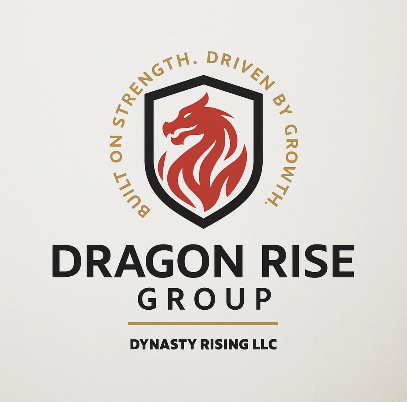 Dragon Rise Group